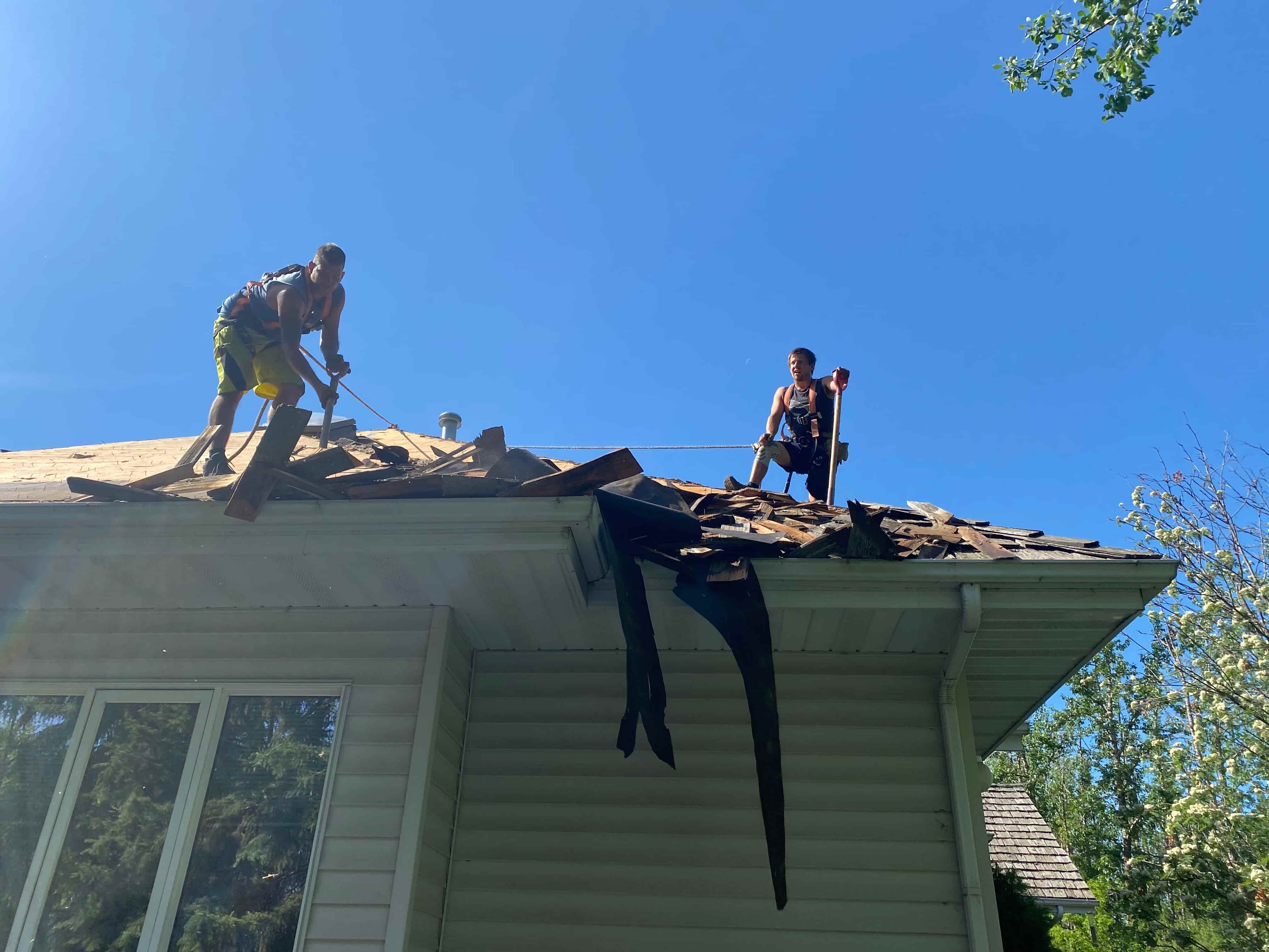 Roof Shingle Replacement.jpg Roof Shingle Replacement.jpg